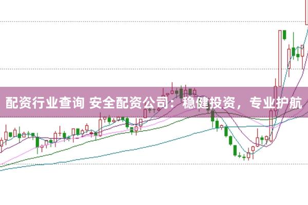 配资行业查询 安全配资公司：稳健投资，专业护航