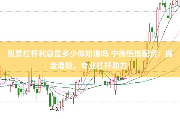股票杠杆利息是多少你知道吗 宁德恒指配资：掘金港股，专业杠杆助力！