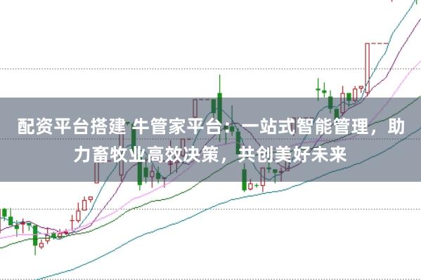 配资平台搭建 牛管家平台：一站式智能管理，助力畜牧业高效决策，共创美好未来